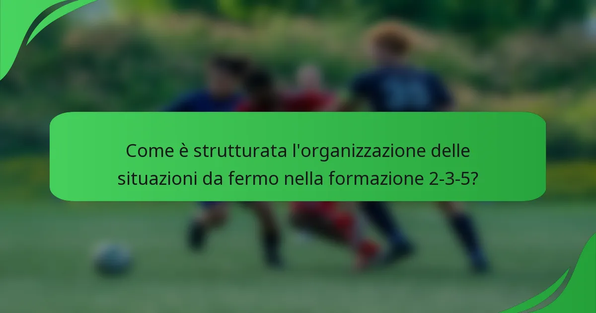 Come è strutturata l'organizzazione delle situazioni da fermo nella formazione 2-3-5?